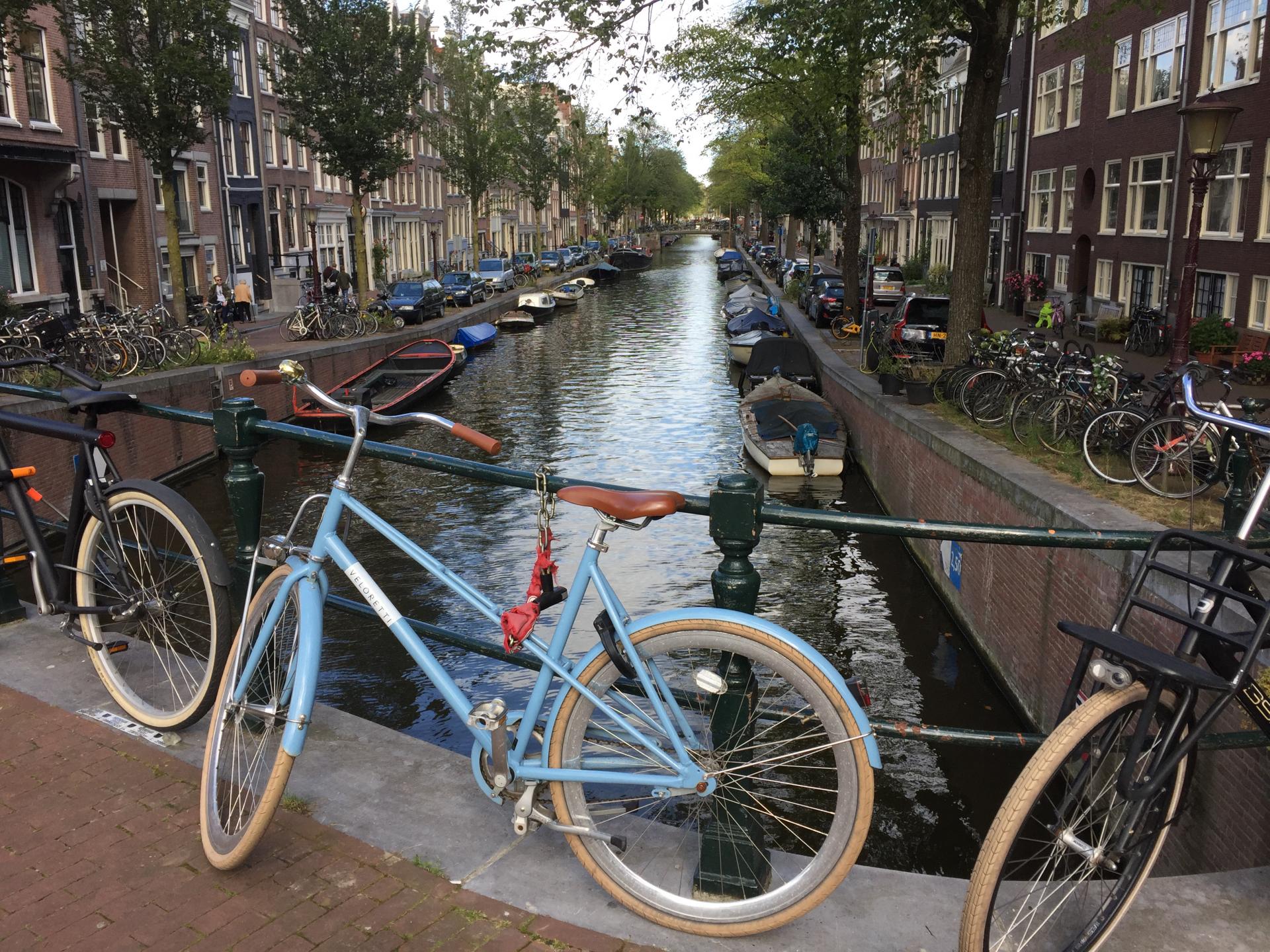 Ams velo bleu