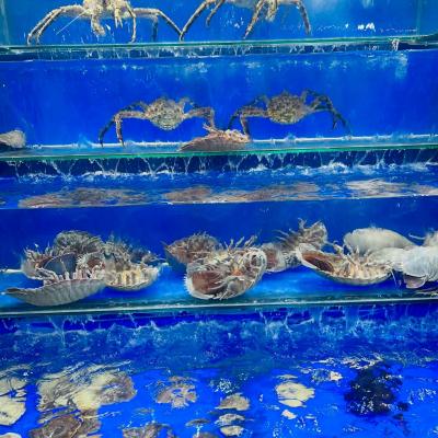 Aquarium