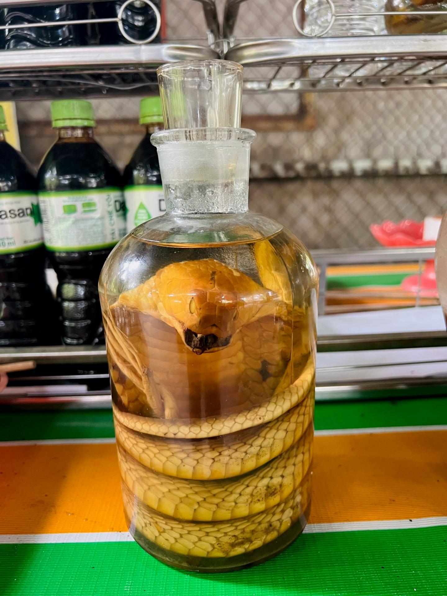 Bocal serpent