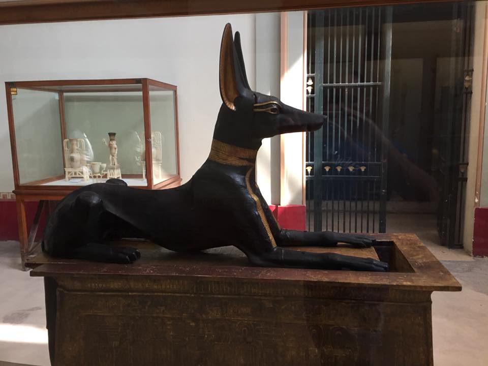 Egypte tout chien