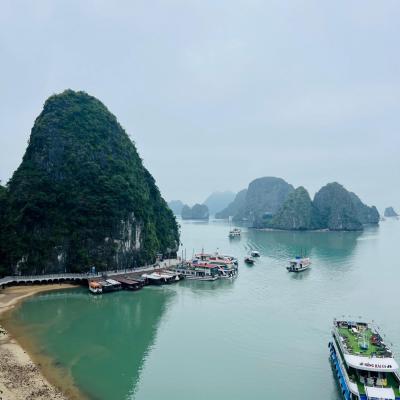 Halong piton