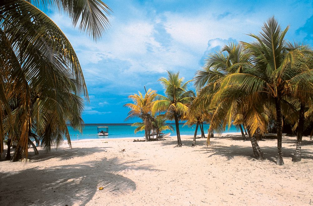 Montego bay