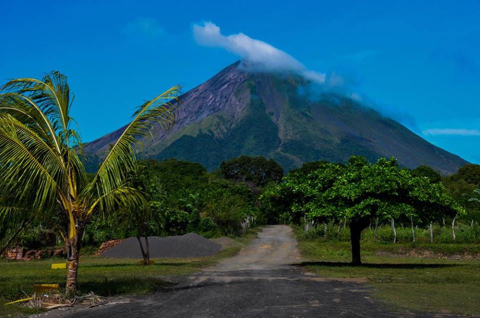 Nica