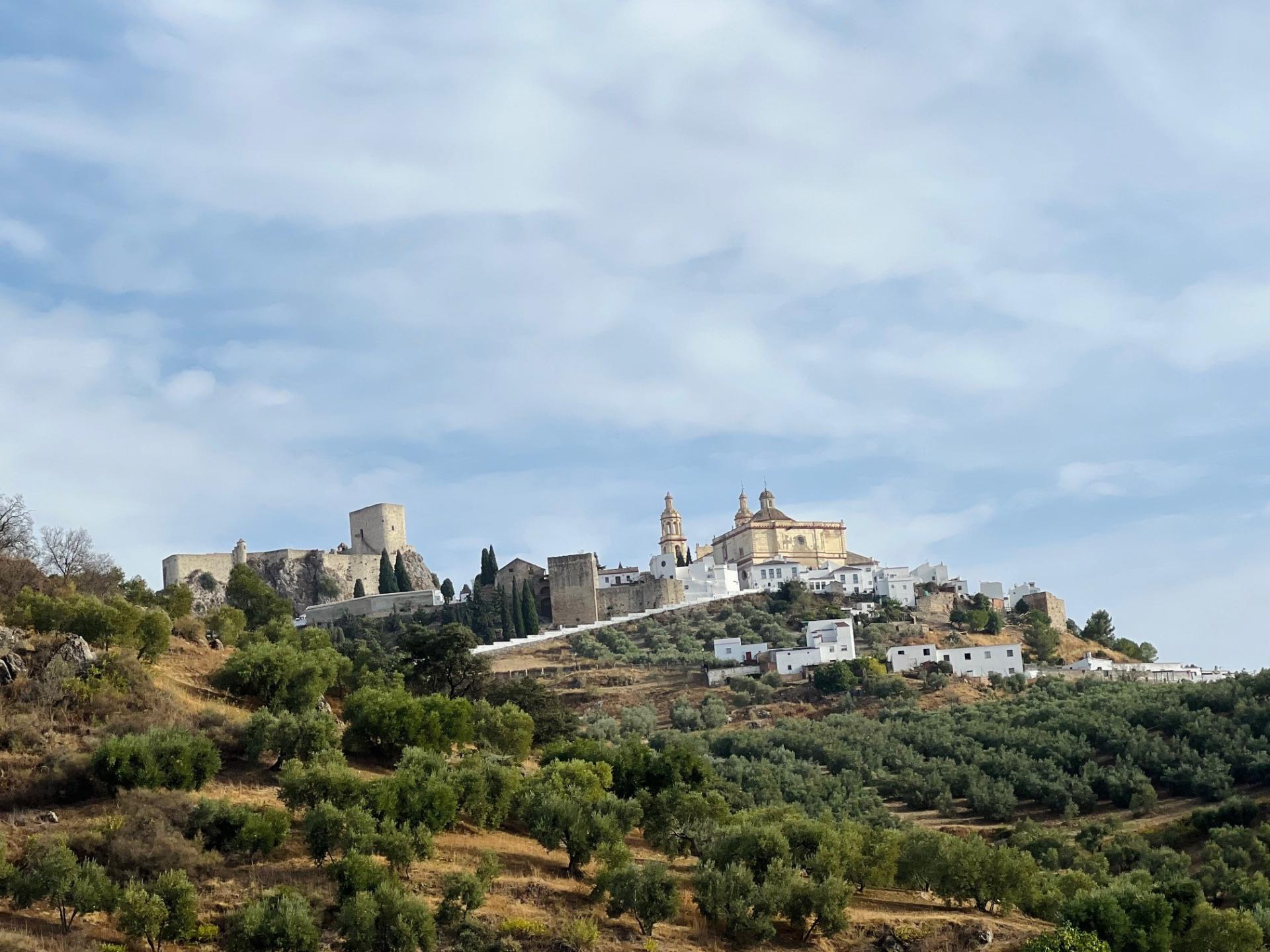 Olvera 2