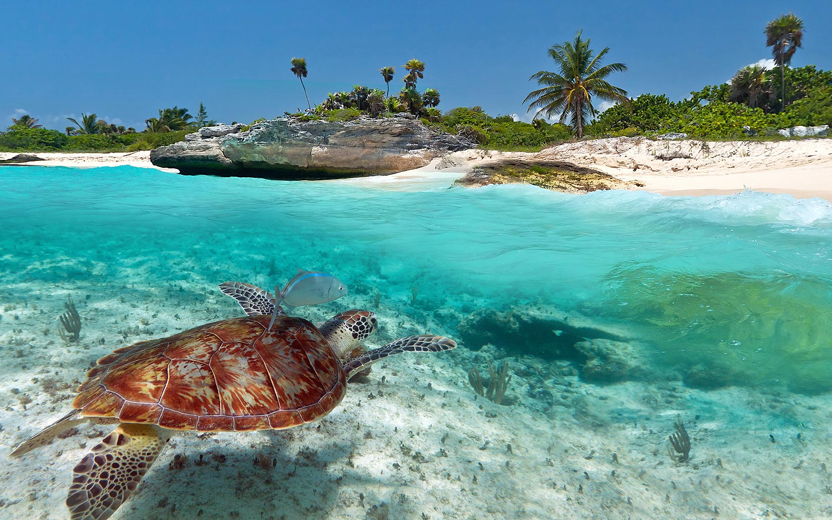Playa del carmen