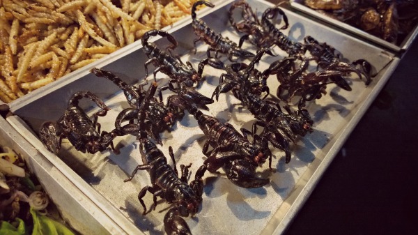Scorpion khao san road jpg
