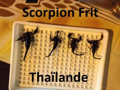 Scorpion
