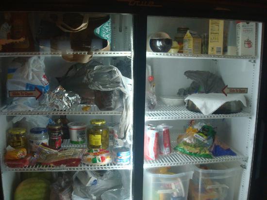 Z fridge 2